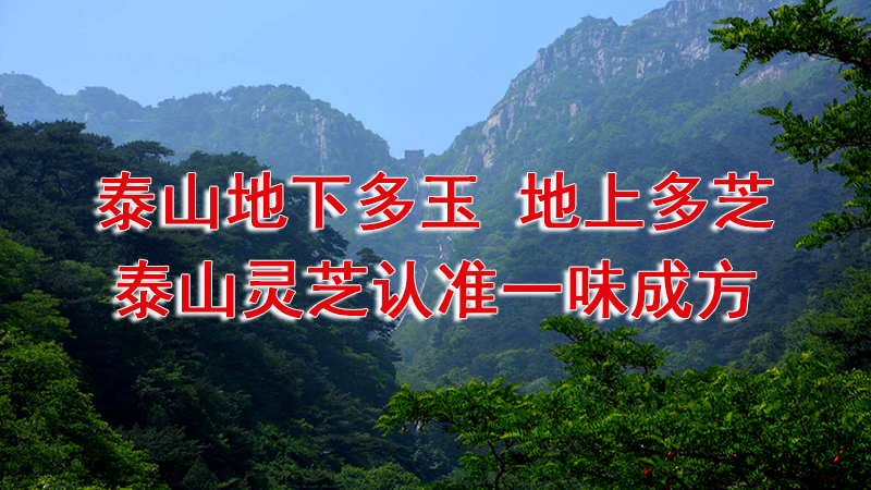 一味成方泰山靈芝尹濤：靈芝發霉變質或孢子粉過期后還能食用嗎？