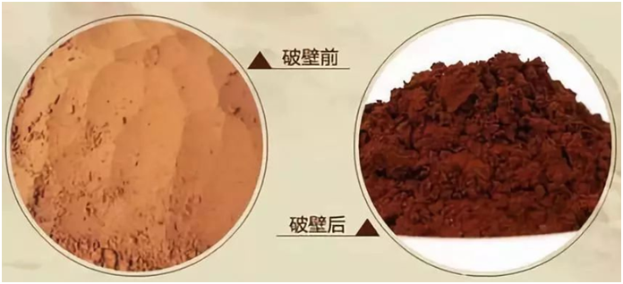 一味成方泰山靈芝尹濤：靈芝孢子粉破壁技術(shù)不同，價格也會不同