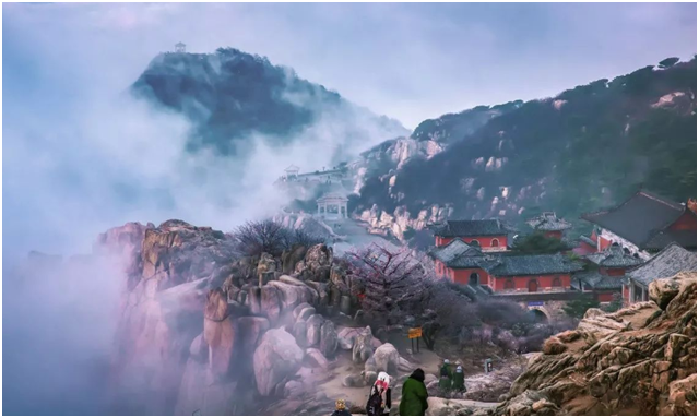 為什么能夠一味成方的泰山靈芝才能稱為“國藥”？