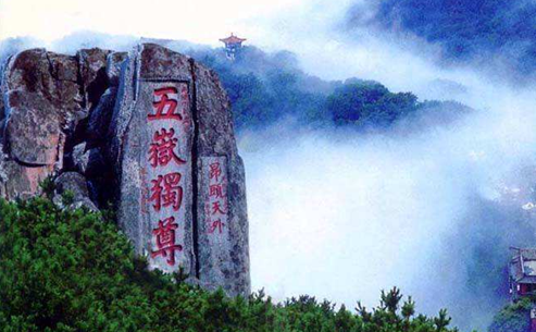一味成方:泰山靈芝詮釋了現(xiàn)代版的“四海皆安”
