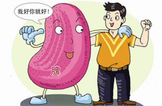 泰山靈芝尹濤:改善脾胃虛弱,為什么首選靈芝孢子粉?