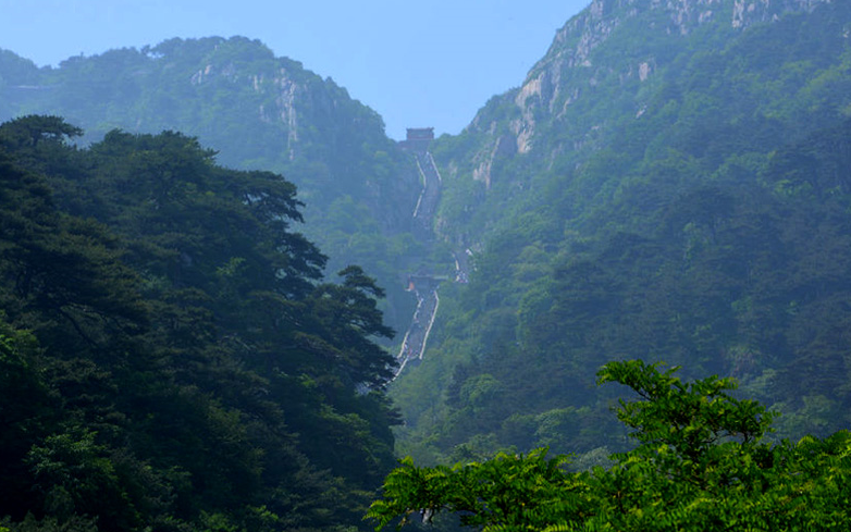 泰山靈芝的國藥地位，離不開一味成方的堅守與創新