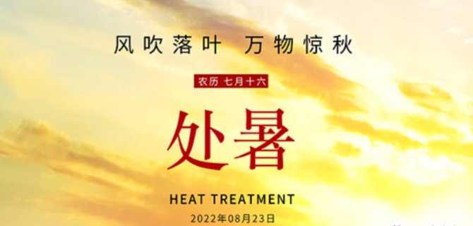 一味成方泰山靈芝尹濤：夏漸止秋未滿，處暑時節靈芝健脾、養肺、防秋燥