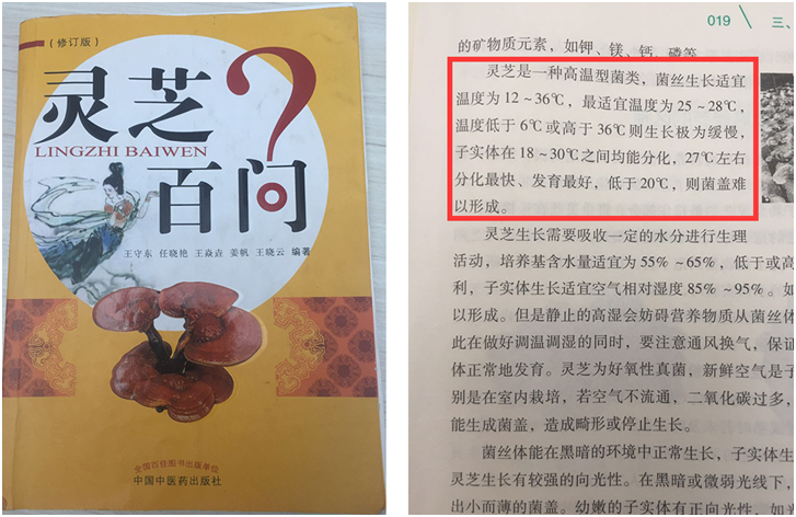 專家披露：低溫環境是靈芝生長的不利因素