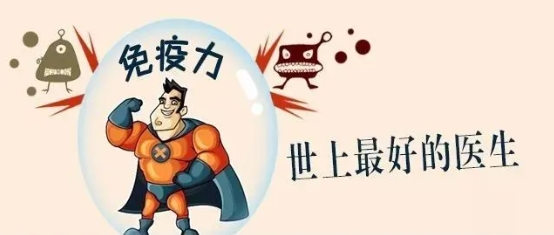 泰山靈芝尹濤：提高免疫力，靈芝孢子油是好靈材