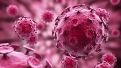 靈芝孢子粉扶助人體正氣，抵抗新型冠狀病毒