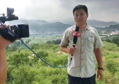 兩年前報道過的一味成方泰山靈芝基地