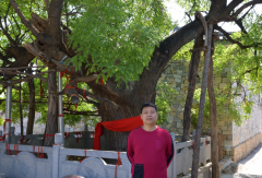 一味成方泰山采芝節(jié)路線巡禮之古槐路